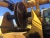 Бурильная установка BAUER BG36C7BS80 1999 г купить в компании Рабочие Машины