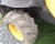 Колесный экскаватор MECALAC 12MSX купить в компании Рабочие Машины