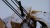 ТрубоукладчикKOMATSU D85C-21 2005 года выпуска купить в компании Рабочие Машины