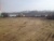 Каток (Гладковальцовый) BOMAG BW 213TD-4 2007 г купить в компании Рабочие Машины