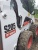 Мини - погрузчик фронтальный BOBCAT S205 купить в компании Рабочие Машины