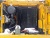 Колесный экскаватор JCB JS 160W купить в компании Рабочие Машины