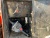 ГНБ DITCH WITCH JT3020 купить в компании Рабочие Машины