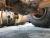 Фронтальный погрузчик HYUNDAI SL765 2013 г купить в компании Рабочие Машины