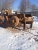 Бульдозер KOMATSU D355A 1986 года купить в компании Рабочие Машины