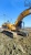 Гусеничный экскаватор CAT 324 DL купить в компании Рабочие Машины